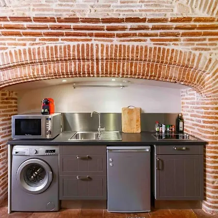 Duplex Climatise Dans Un Monument Historique טולוז