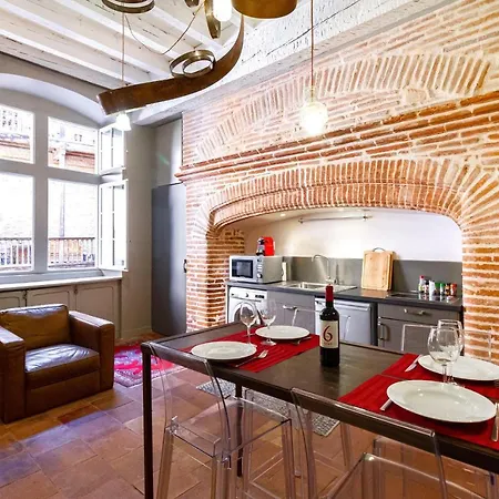 Duplex Climatise Dans Un Monument Historique Тулуза
