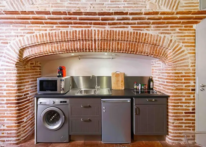 Duplex Climatise Dans Un Monument Historique Τουλούζη